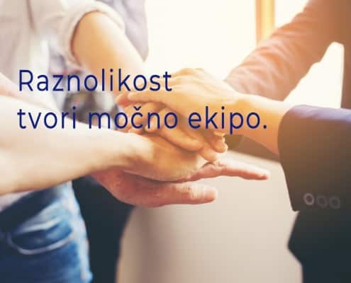 Raznolikost tvori močno ekipo